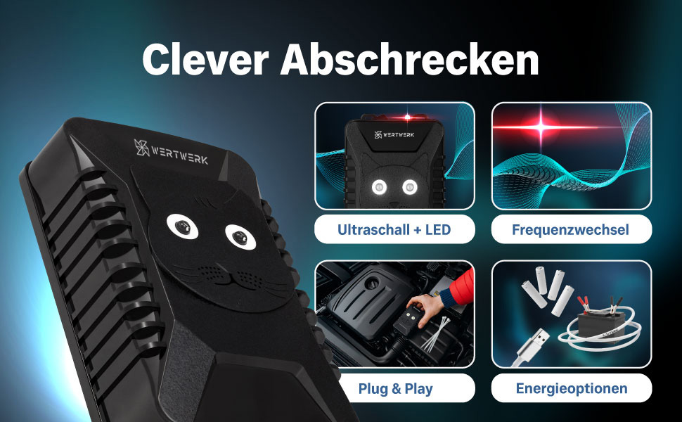 WERTWERK – A+ Content Modul 1