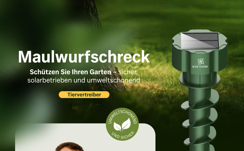 WERTWERK – A+ Content Modul 1